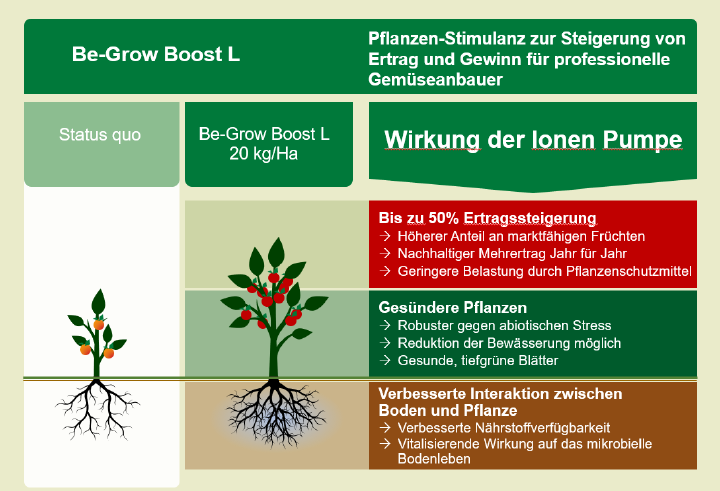 Be-Grow Boost L